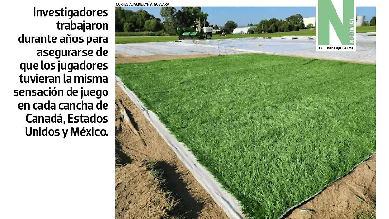 pasto SITIO2.jpg